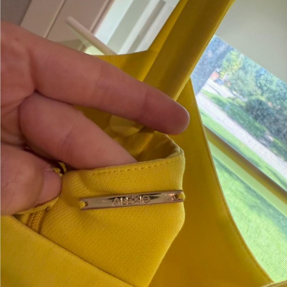 Alexis Costal midi dress - Picture 3 of 4